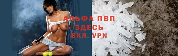 сатива Заволжье