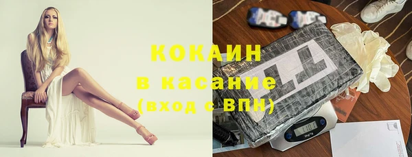 сатива Заволжье