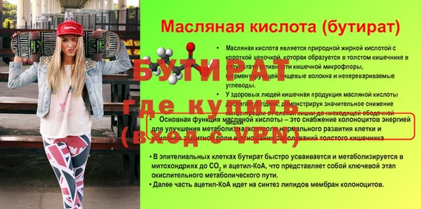 сатива Заволжье