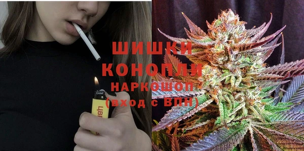 сатива Заволжье