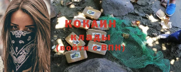 шишки Заволжск