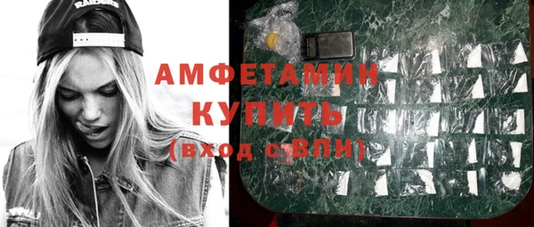 шишки Заволжск