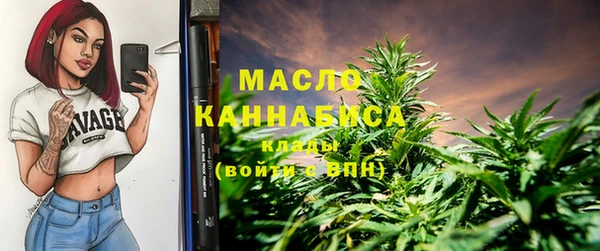 шишки Заволжск