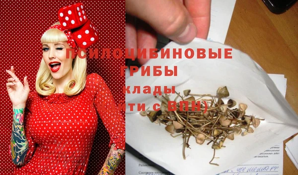шишки Заволжск