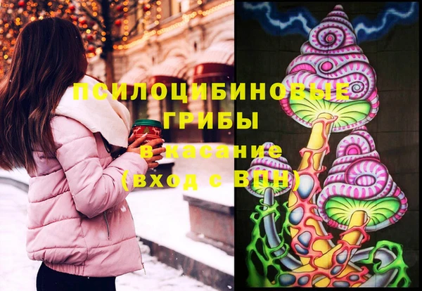spice Заводоуковск