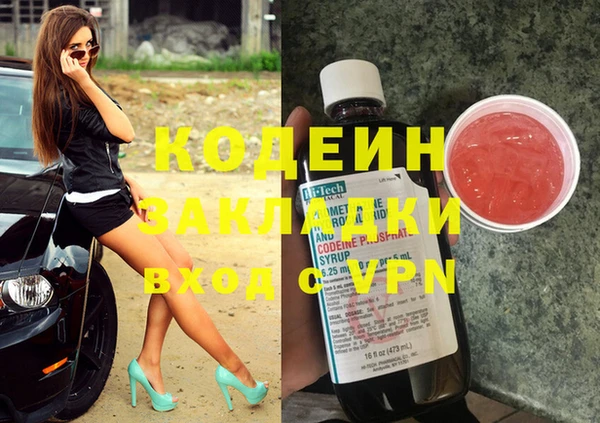 шишки Заволжск