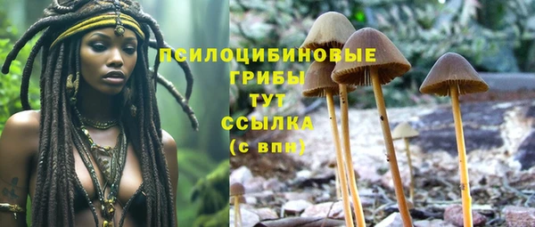 сатива Заволжье