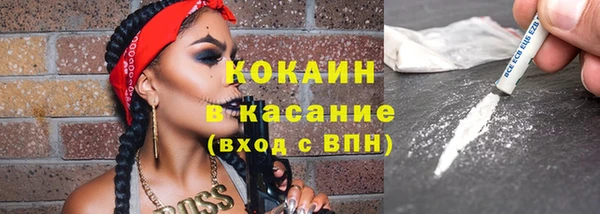 шишки Заволжск
