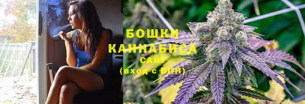 spice Заводоуковск