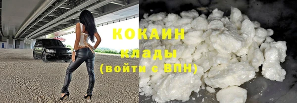 шишки Заволжск