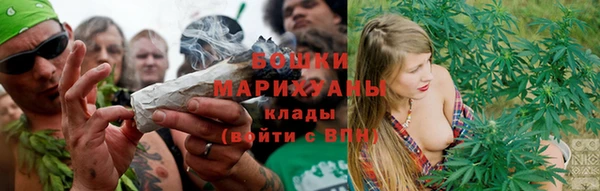 сатива Заволжье
