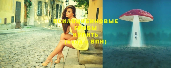 сатива Заволжье