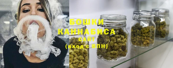 сатива Заволжье