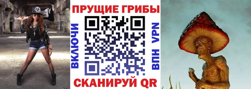 Псилоцибиновые грибы Magic Shrooms Зима