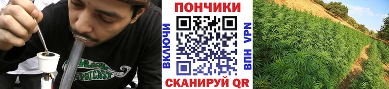 Конопля Ganja  сколько стоит  Зима 